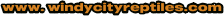 www. windycityreptiles.com