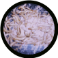 500-Meal Worms  